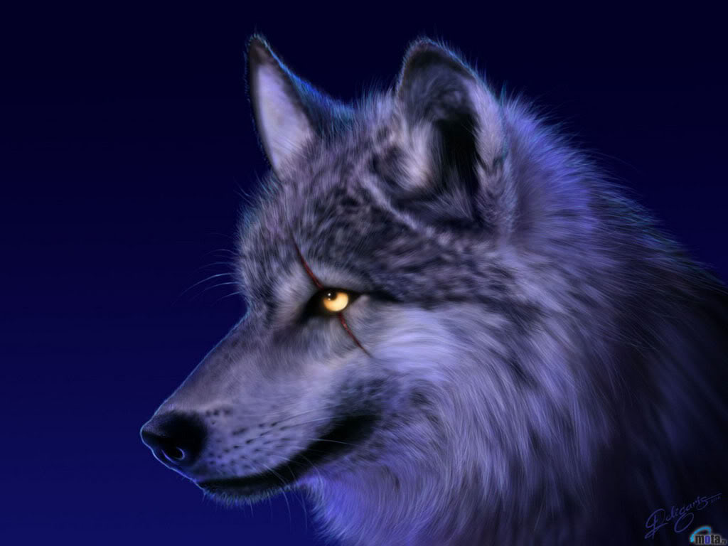 Wolf.jpg